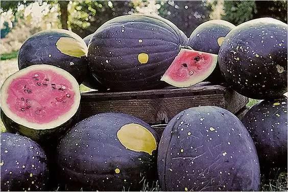 黑料泡泡吃瓜,揭秘娱乐圈吃瓜背后的真相与内幕