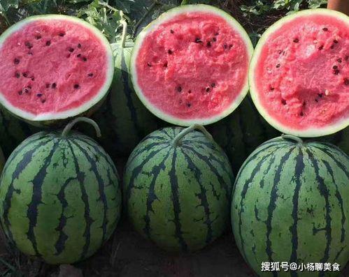 黑瓜吃料网怎么搜不到了,黑瓜吃料网搜索失效之谜揭秘