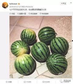 吃瓜官网黑,黑科技打造全新娱乐体验