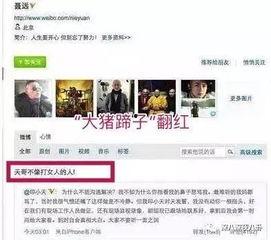 吃瓜网站黑历史,那些被遗忘的黑历史瞬间