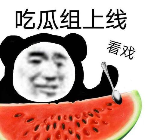 湖南公司黑料吃瓜,揭秘背后的真相与争议