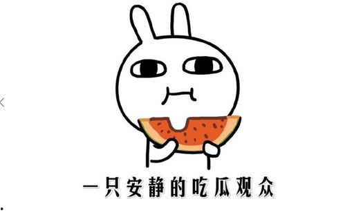 抖音网红黑料吃瓜网址,吃瓜网址带你一探究竟