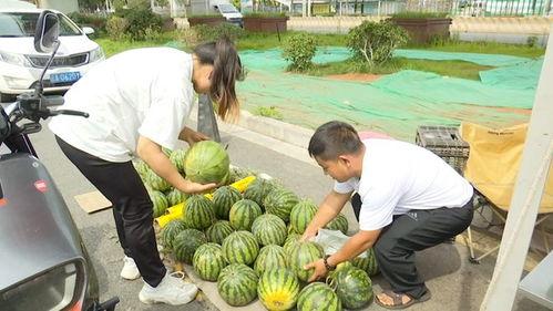 黑落吃瓜网,网络舆论场中的新势力崛起